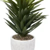 Havertys Agave Sisalana I Succulent New