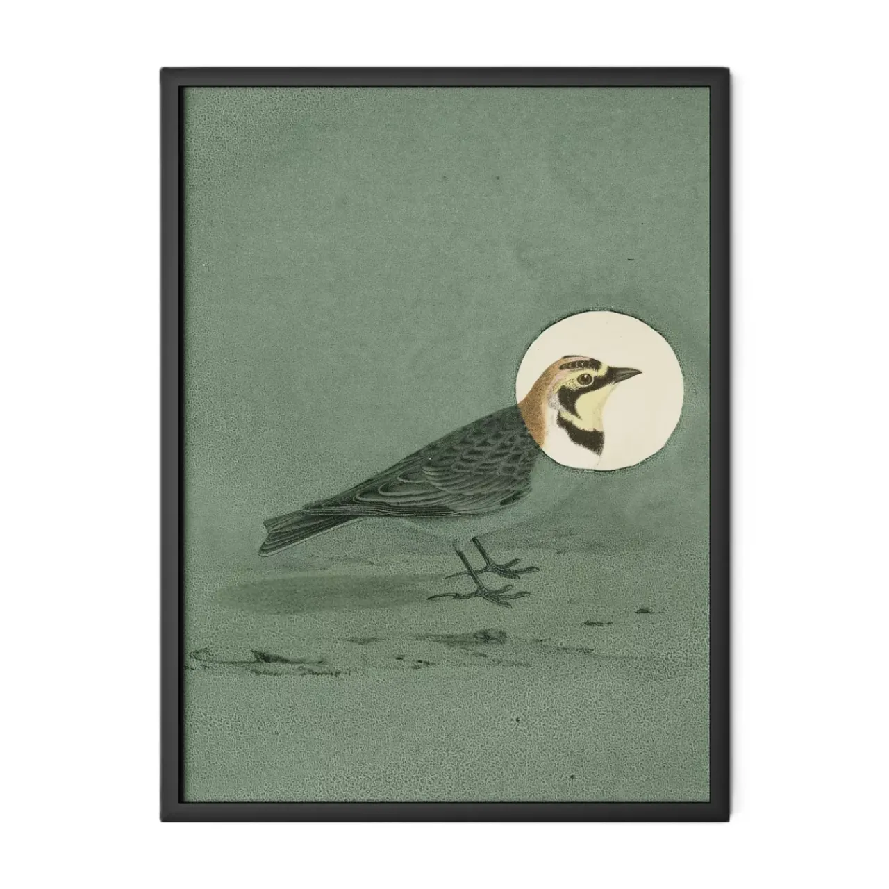 Havertys Antique Bird Thyme Wall Art Hot