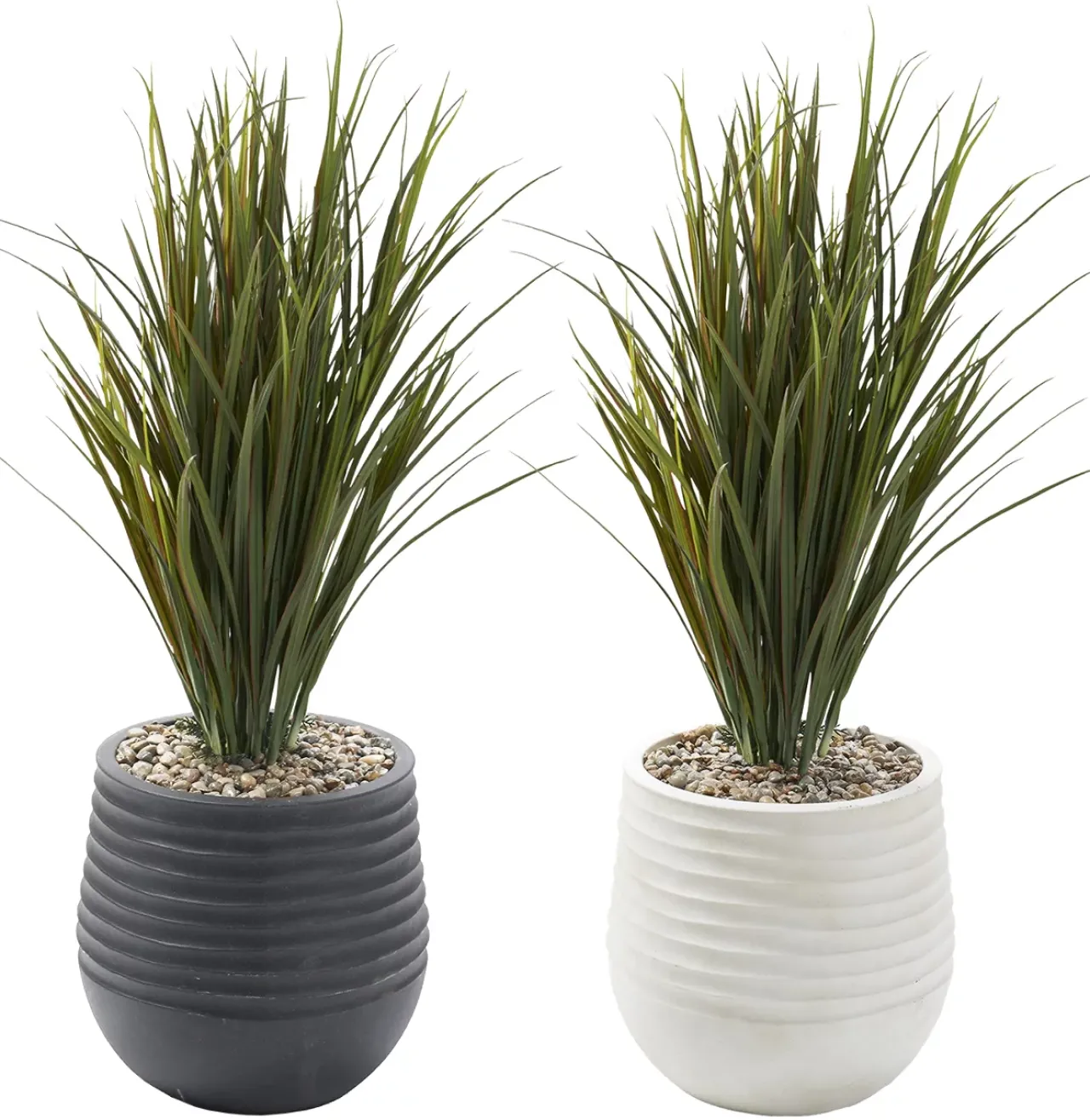Havertys Areca Grass Arrangement