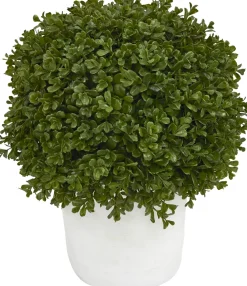 Havertys Boxwood Shrub Greenery New