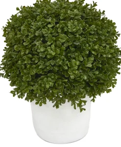 Havertys Boxwood Shrub Greenery New