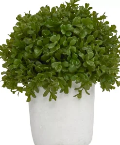 Havertys Boxwood Shrub Greenery New