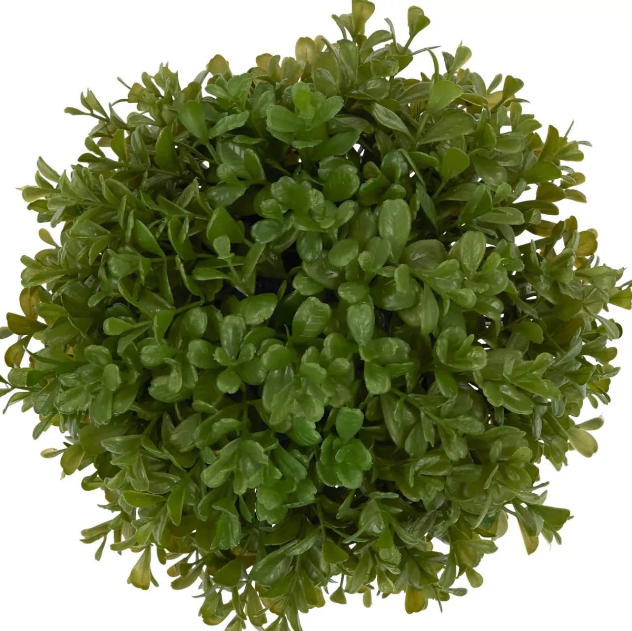 Havertys Boxwood Shrub Greenery New