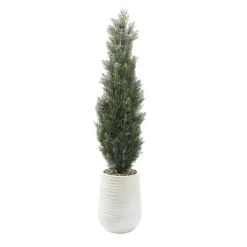Havertys Cedar Tree