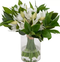 Havertys Cymbidium Floral Sale