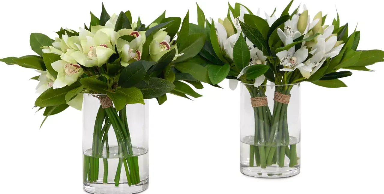 Havertys Cymbidium Floral Sale