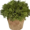 Havertys Cypress Greenery New