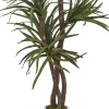 Havertys Dracaena Tree Clearance