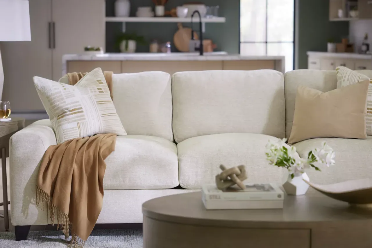 Havertys Elsie Throw Sale