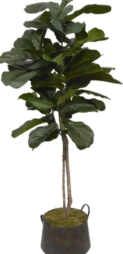 Havertys Fiddle Leaf II Tree Outlet