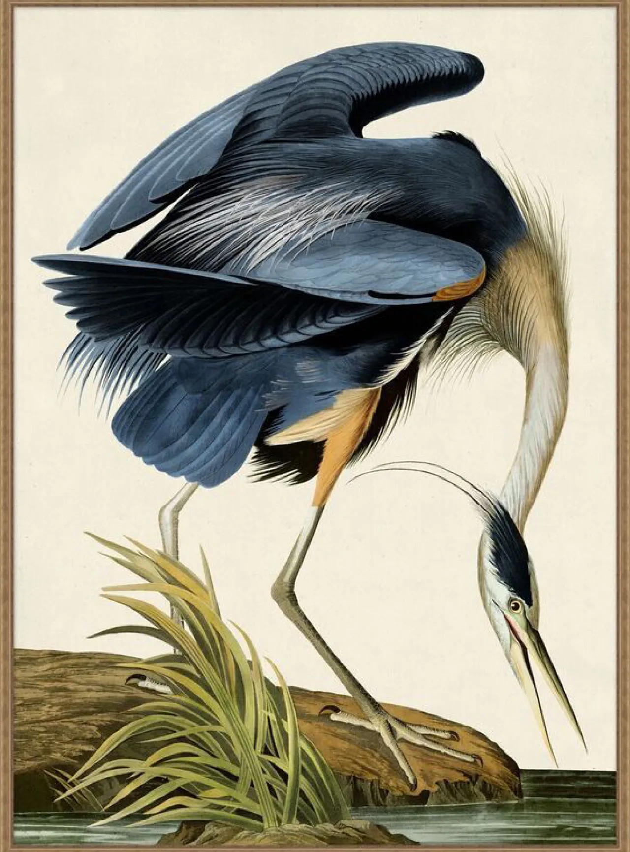 Havertys Grand Blue Heron Framed Art New