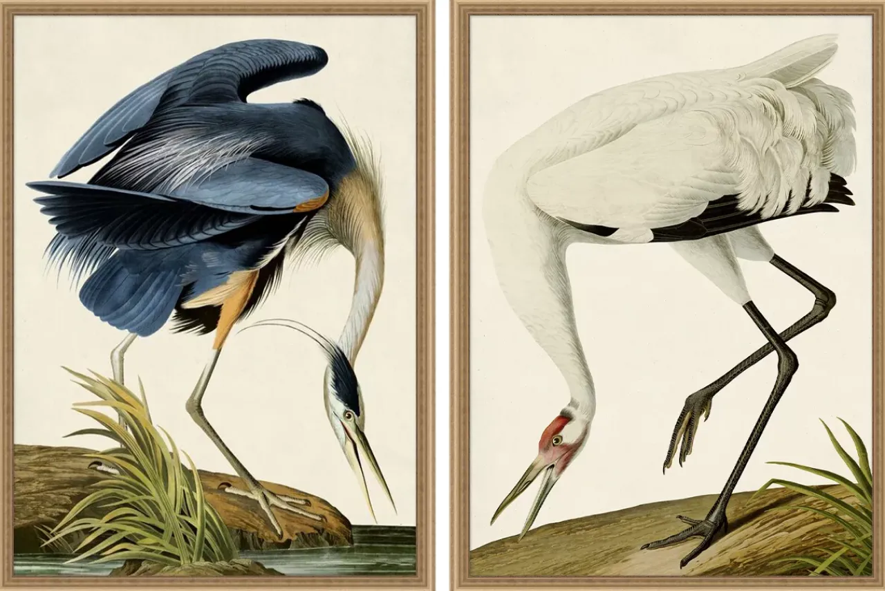 Havertys Grand Blue Heron Framed Art New