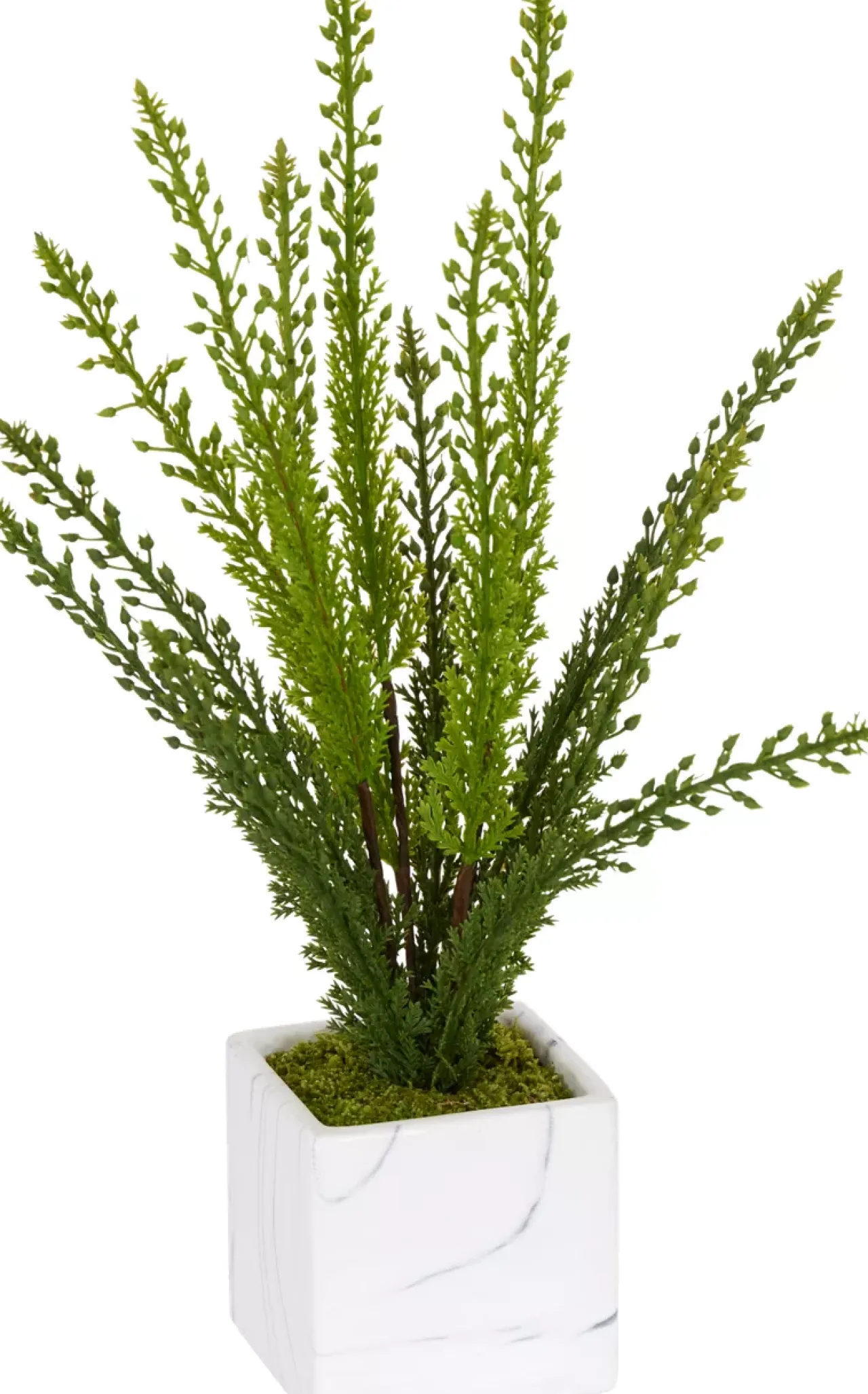Havertys Heather Fern II Floral Discount