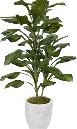 Havertys Hosta Floral Discount