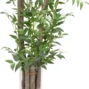 Havertys Italian Ruscus Greenery Sale