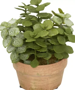 Havertys Jade Floral Sale