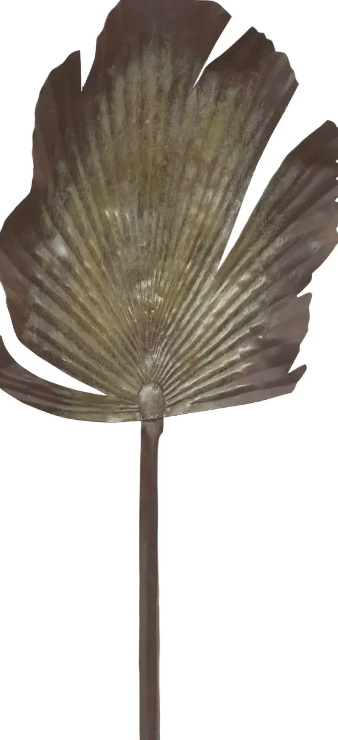 Havertys Landrum Palm Leaf Outlet