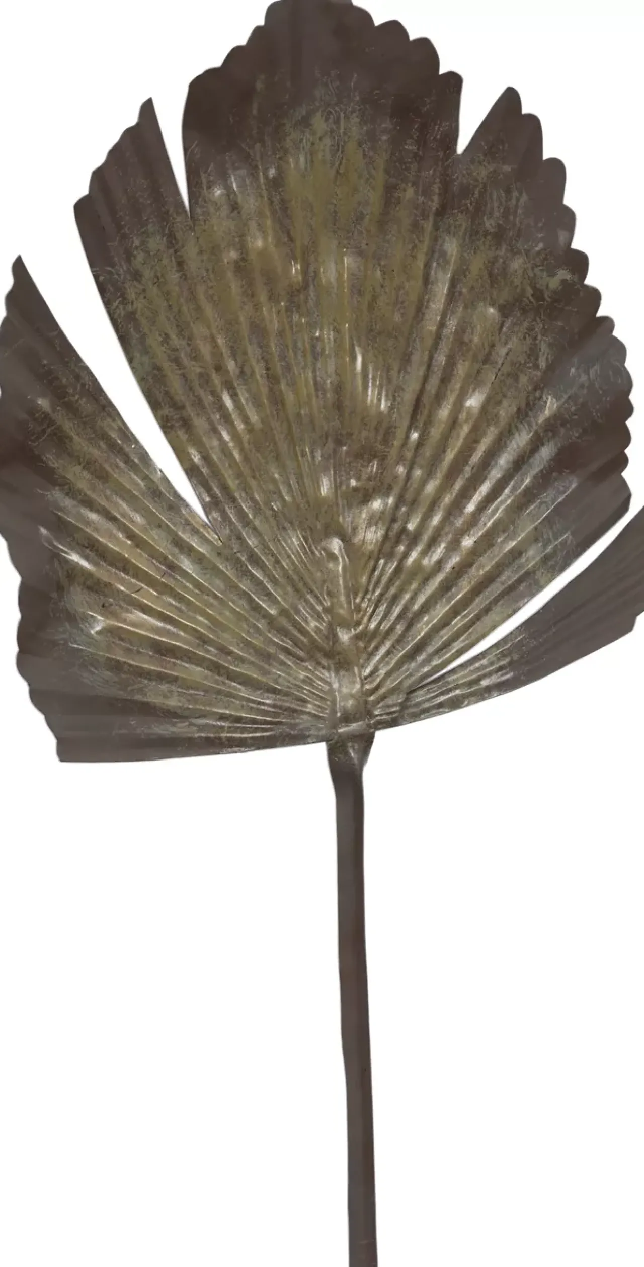 Havertys Landrum Palm Leaf Outlet