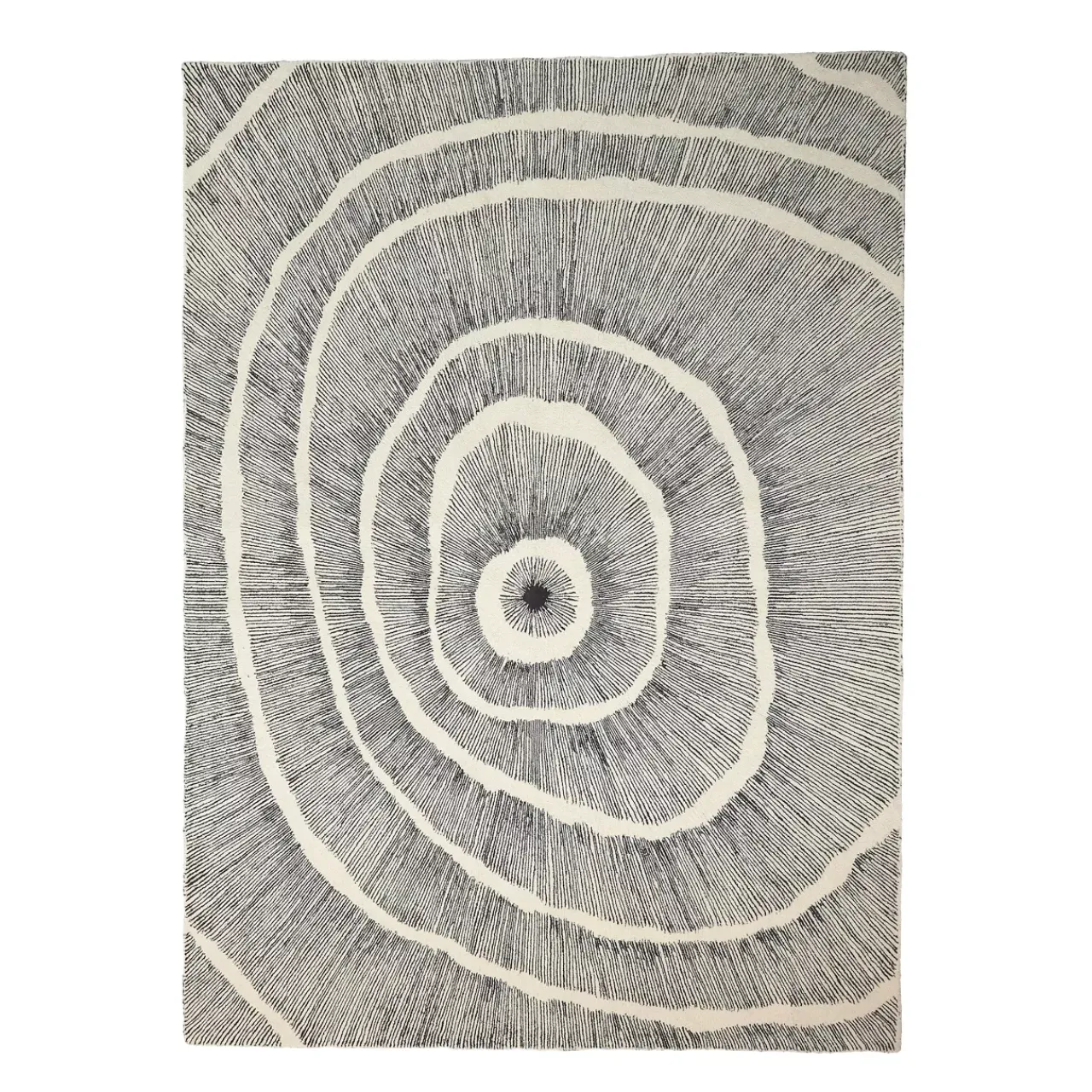 Havertys Marx Rug Hot
