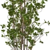 Havertys Mini Leaf Tree Online