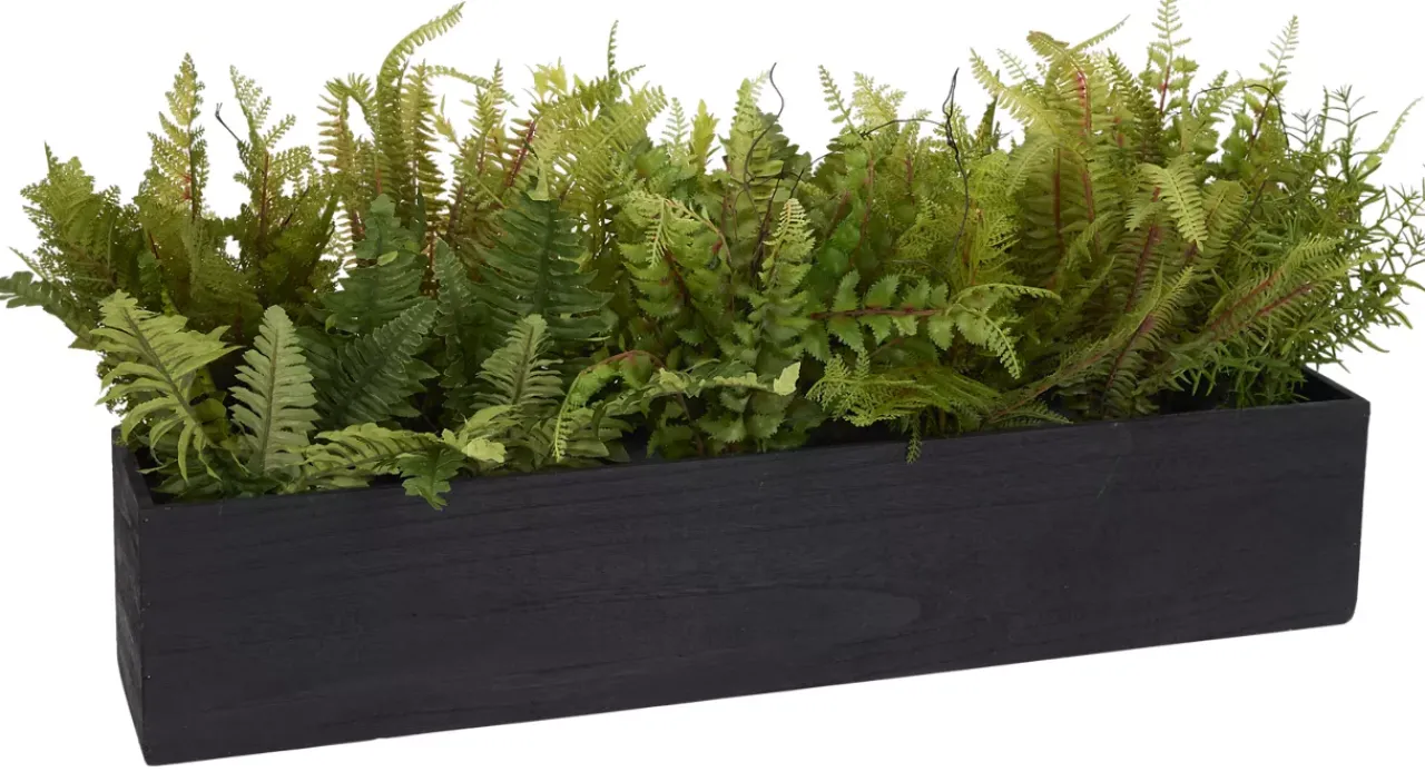 Havertys Mixed Fern Floral Hot