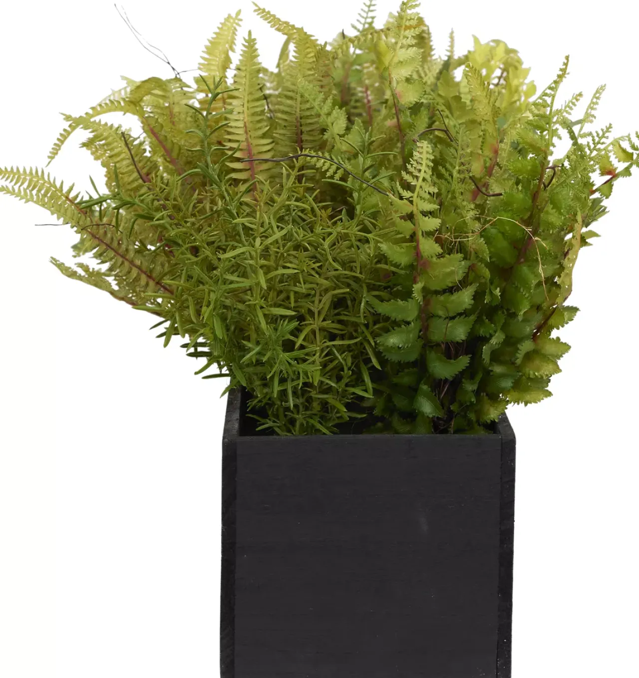 Havertys Mixed Fern Floral Hot