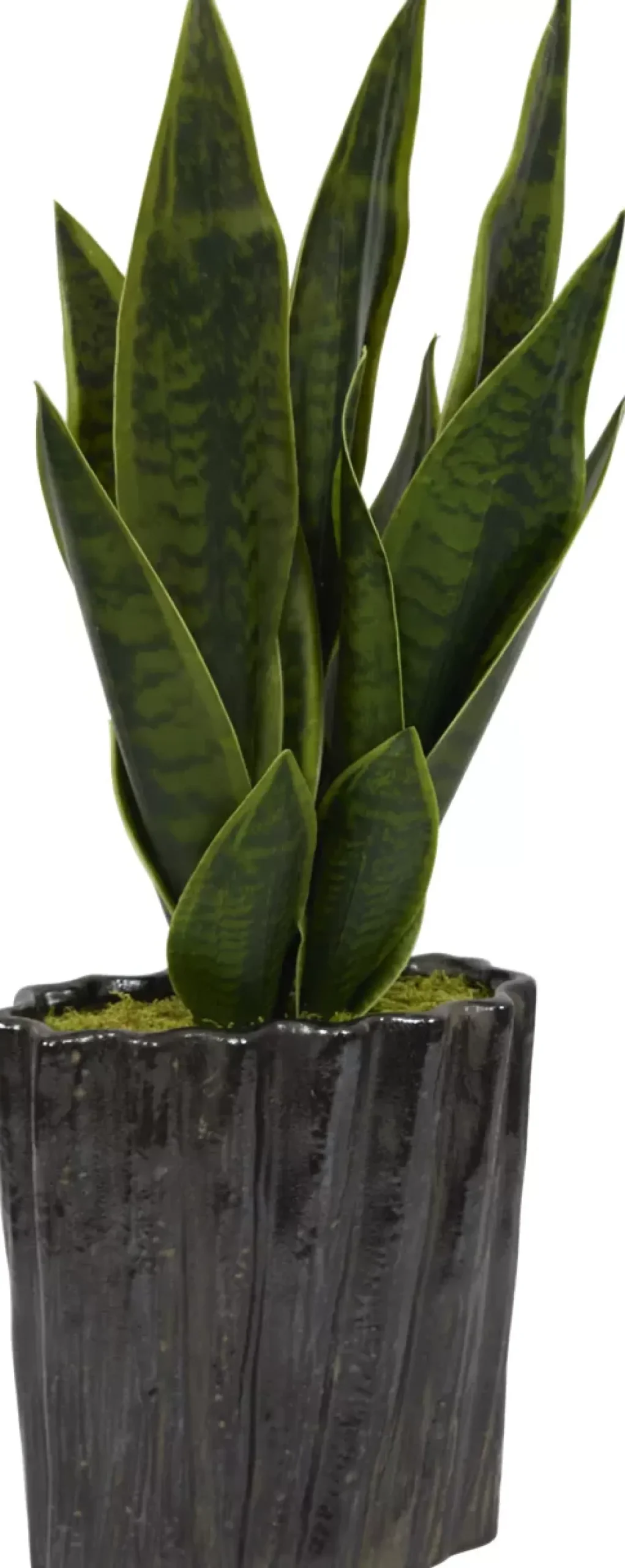 Havertys Mother-in-Law II Floral Hot