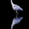 Havertys Night Reflections Wall Decor Discount