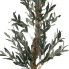 Havertys Olive II Tree Online