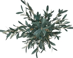 Havertys Olive II Tree Online