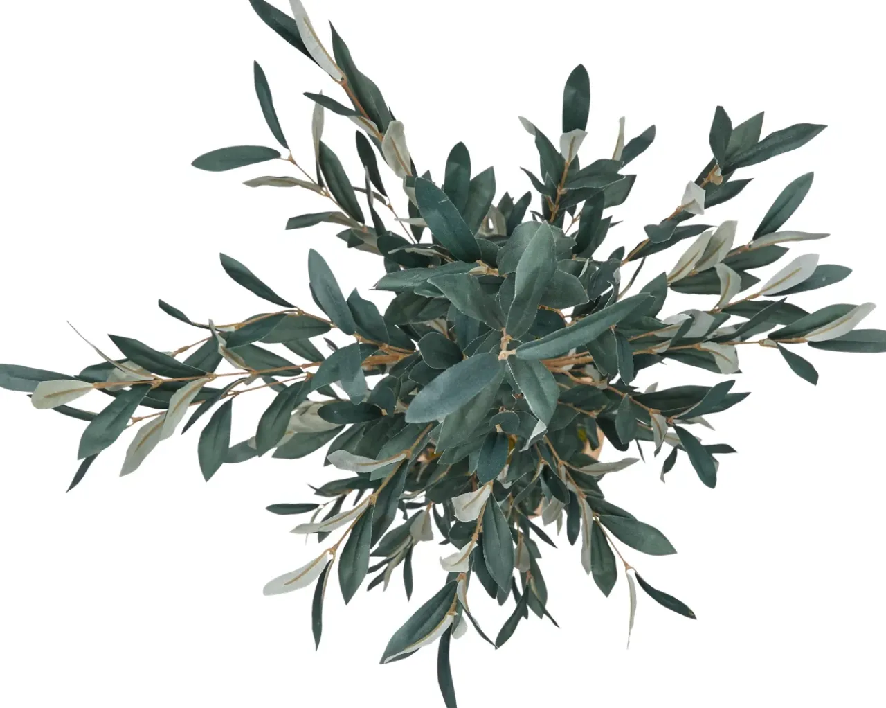 Havertys Olive II Tree Online