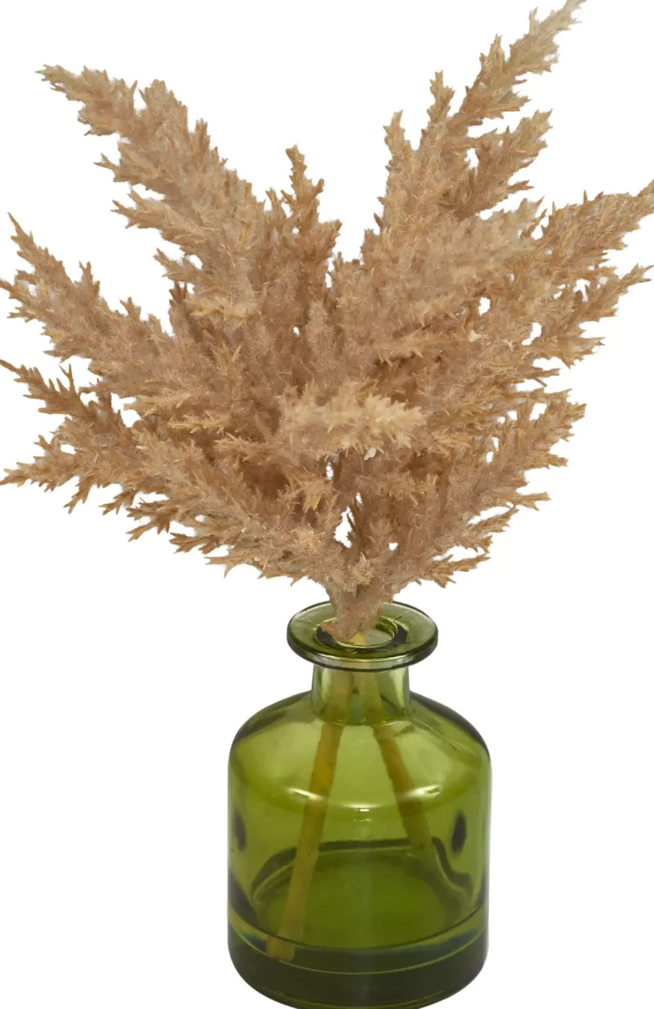 Havertys Pampas Grass Arrangement Outlet