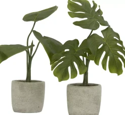 Havertys Philodendron Greenery Clearance