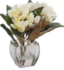 Havertys Plumeria Floral Online