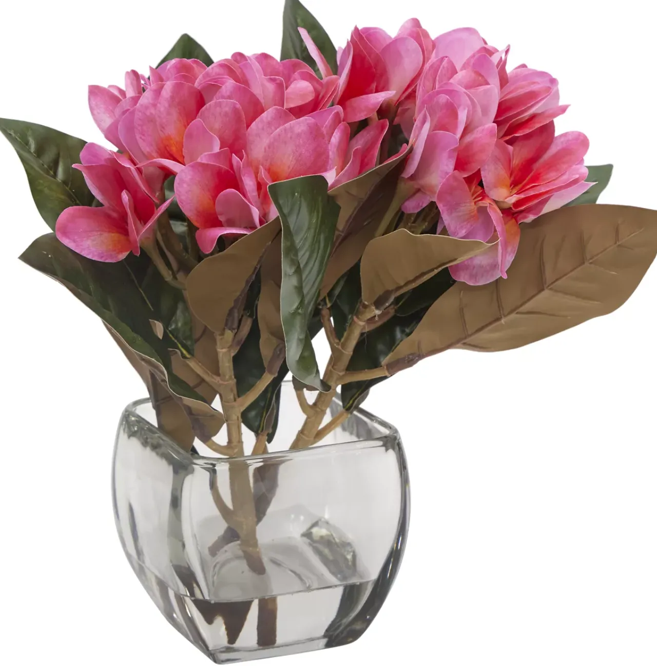 Havertys Plumeria Floral Online