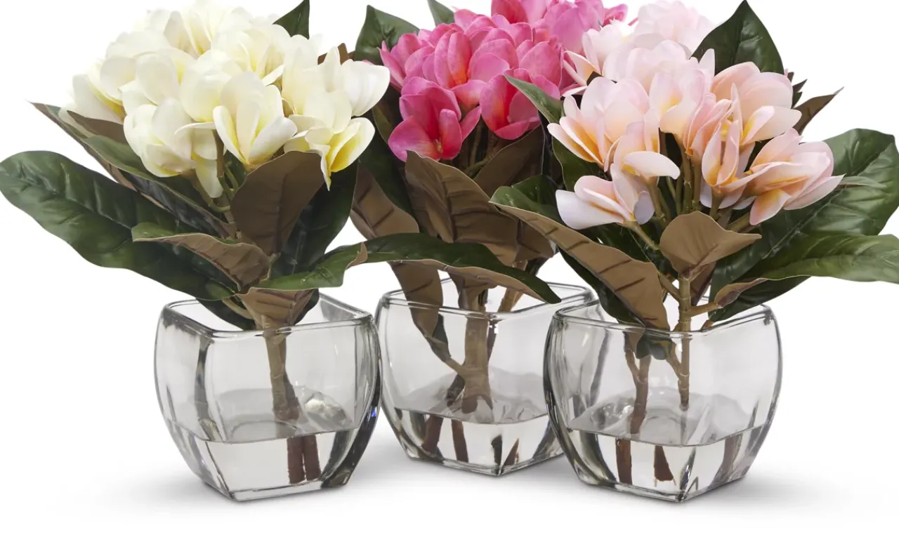 Havertys Plumeria Floral Online