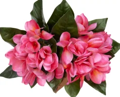 Havertys Plumeria Floral Online