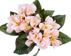 Havertys Plumeria Floral Online