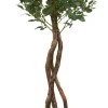 Havertys Poppel Spray Tree Outlet