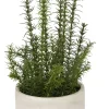 Havertys Rosemary Greenery New