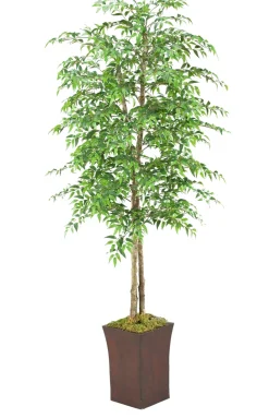 Havertys Ruscus Tree Outlet