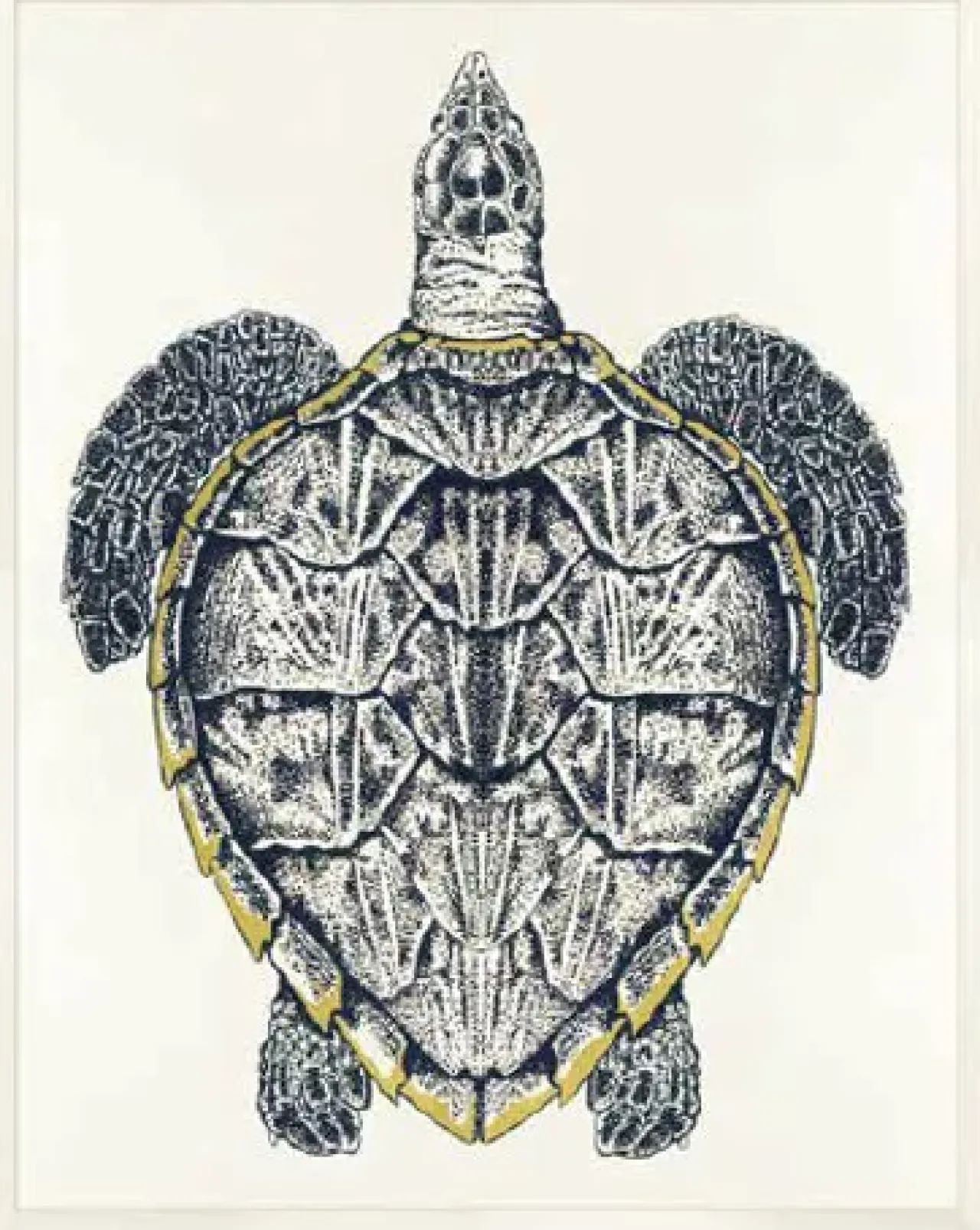 Havertys Sea Turtle Framed Art Discount