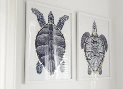Havertys Sea Turtle Framed Art Discount