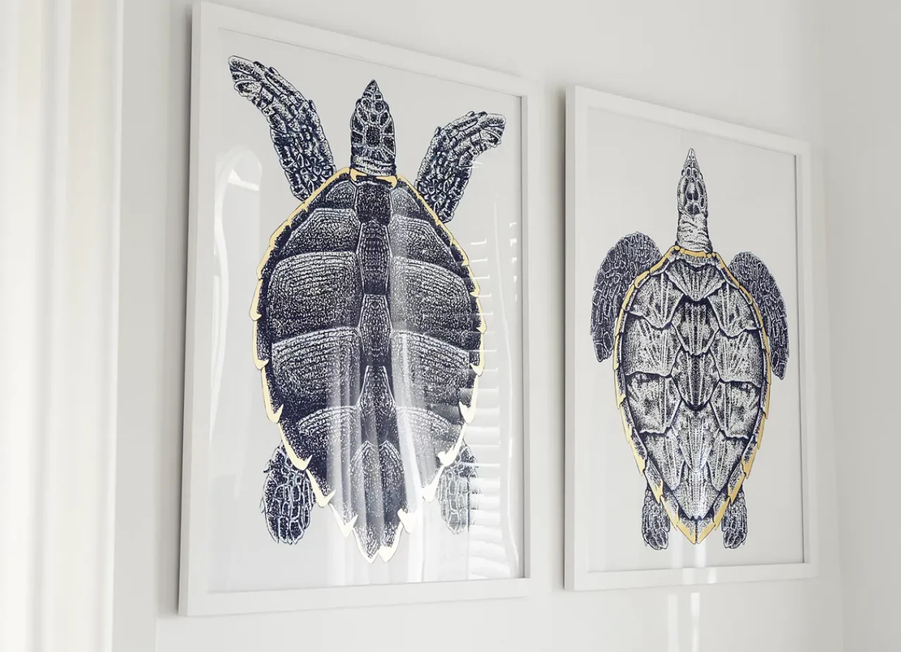 Havertys Sea Turtle Framed Art Discount