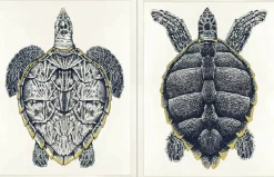 Havertys Sea Turtle Framed Art Discount