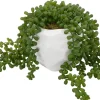 Havertys Sedum Spray Greenery Outlet