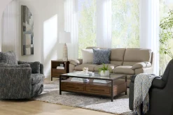 Havertys Skylar Recliner Earth Clearance