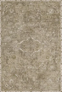 Havertys Sonya Rug Hot