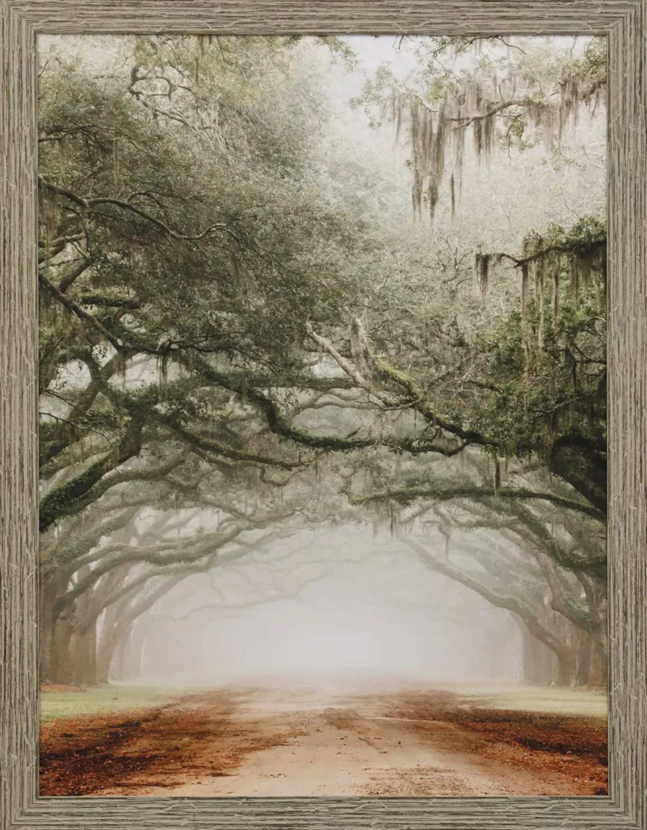 Havertys Southern Nostalgia Framed Art Hot