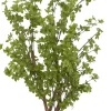 Havertys Star Tree Online